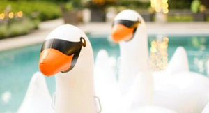 Inflatable swan pool floaties in a pool with blurred background