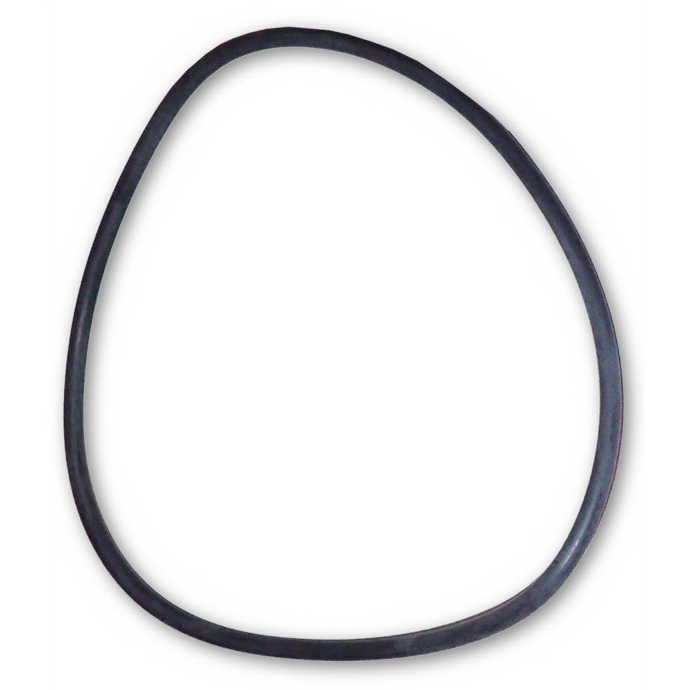 Cartridge Filter Lid O-Ring | Top Seal Gasket
