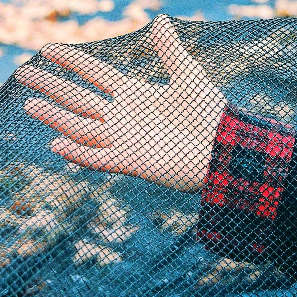 Hand holding a piece of leaf pool net cover with a blurred natural background