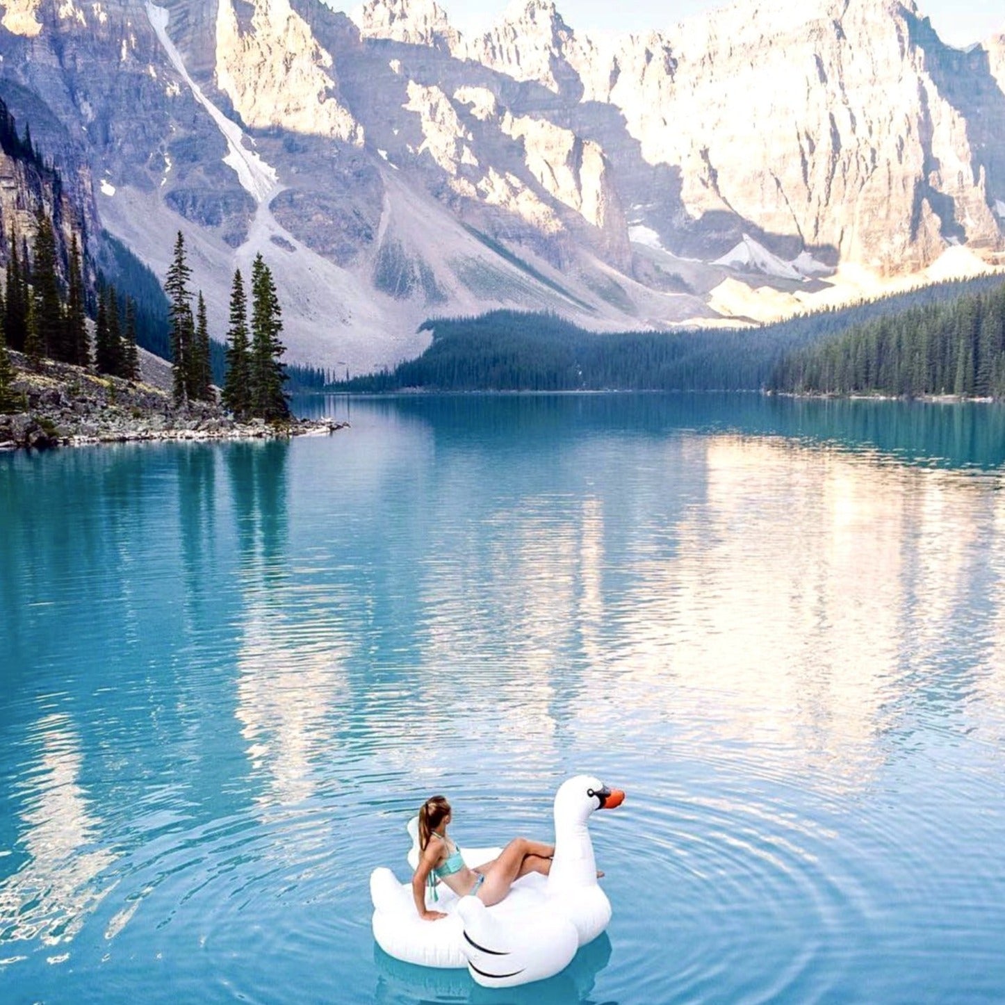 Giant Inflatable Swan Float | Ride-On Lounger | Stable Design