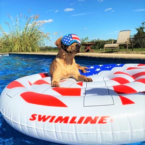 Americana™ Peace Island | 60" Patriotic Pool Float | Peace Sign