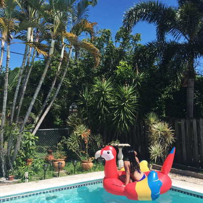 Swimline Giant Parrot Pool Float